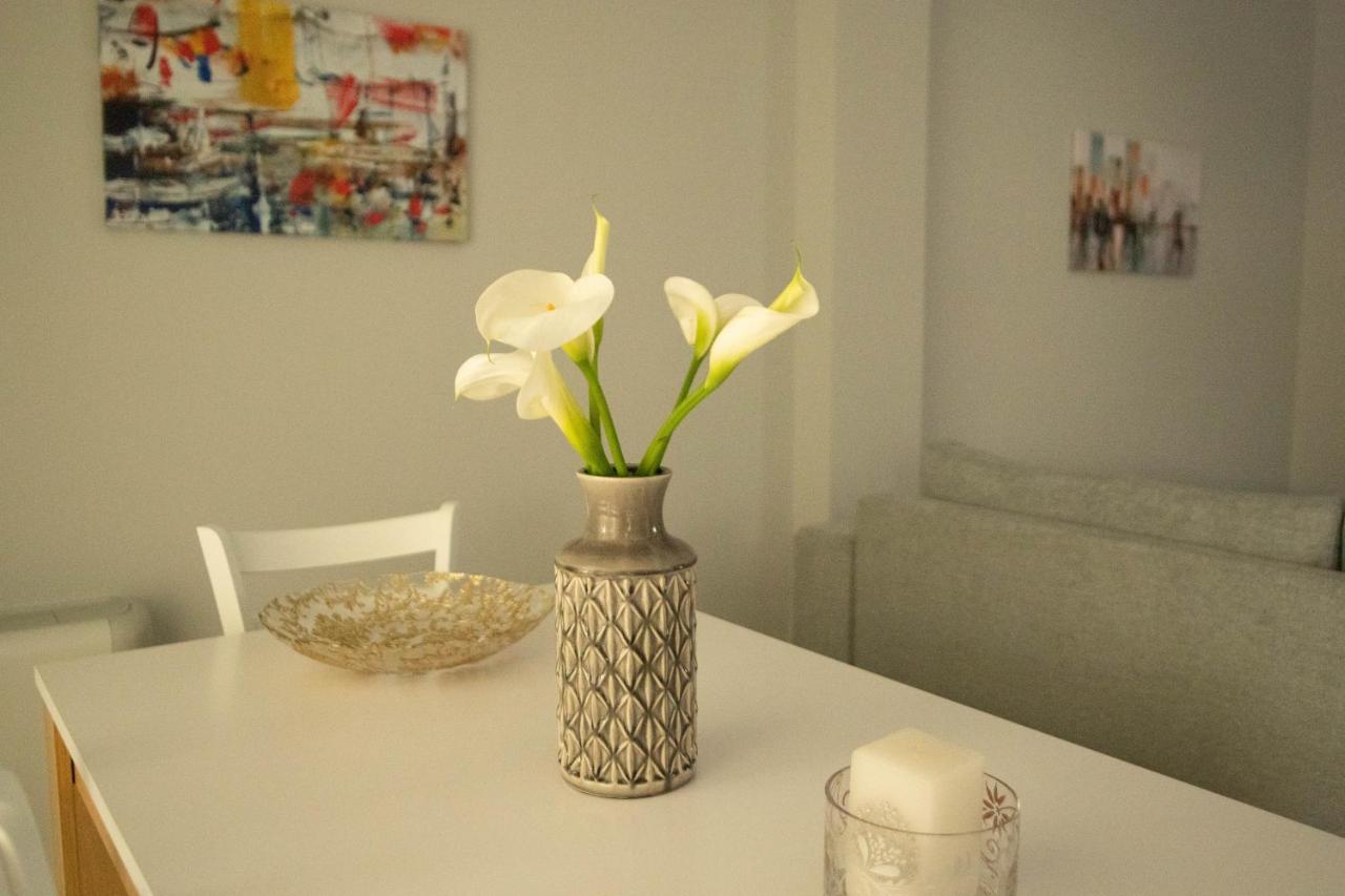 Santacara City Apartment Lefkáda エクステリア 写真